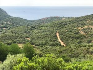 Chalets Les Terrasses de Scaglioli : photos des chambres