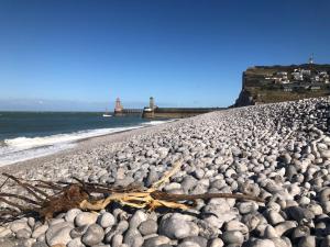 Appartements Captain YOO - Pieds dans l’eau - Face au port : photos des chambres
