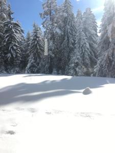 Superior Villa room in Borovets Chalets