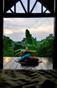 SMALL CABIN IN THE SOUTH