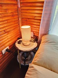 SMALL CABIN IN THE SOUTH