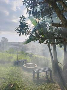 SMALL CABIN IN THE SOUTH