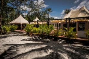 Canvas & Orchids Retreat