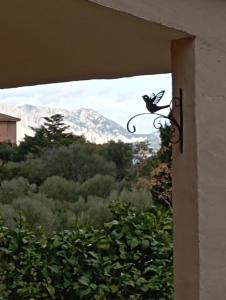 Villetta Cala D'Ambra img19