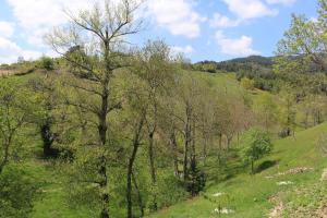 B&B / Chambres d'hotes Au Jardin Retrouve : photos des chambres