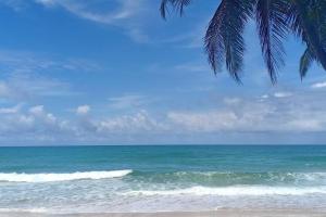 Kata Ocean View Luxury condo & Seaview K12