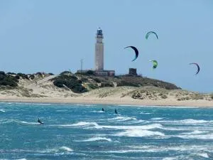 DADA CAÑOS - 洛斯卡尼奥斯德梅卡