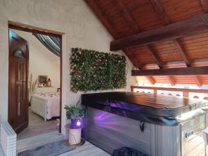 B&B / Chambres d'hotes Gite avec SPA prive : photos des chambres