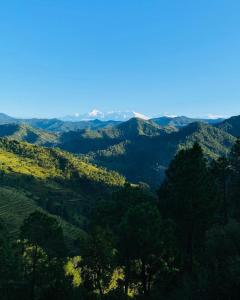 Itmenaan Estate, Binsar Himalayas
