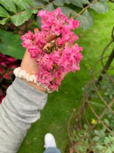 Hotel ABC, Boutique Hotel in Pokhara