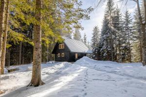 Cosy Lodge Pokljuka