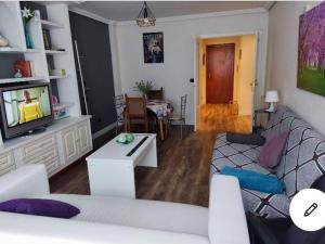 Luminoso piso centrico con vistas al rio en Ezcaray