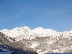 Ferienwohnung Moharblick 2