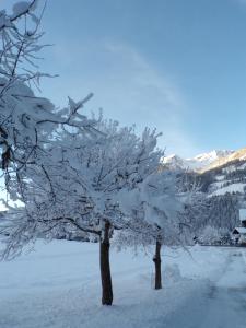 Ferienwohnung Moharblick 2