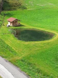 Ferienwohnung Moharblick 2