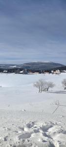 Apartmány Sport Malá Úpa