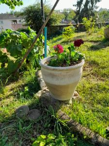 Sejours chez l'habitant La terrasse : photos des chambres