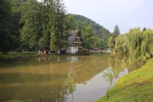 Guest house Lacul Linistit