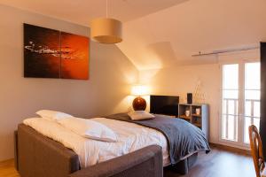 2 appartements conforts + jardin + parking : photos des chambres