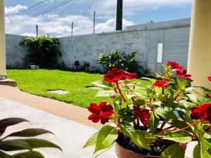 Casa em Barreirinhas 01