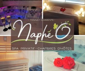 B&B / Chambres d'hotes Napheo : photos des chambres