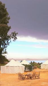 Tunis Camp Fayoum