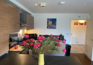 Contemporary, Cosy & Homely 2 Bed Apartment with High-Speed WIFI, Terrace & Free Parking overlooking Stourbridge Common Park & Coldhams Brook