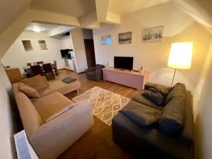 Vidik Resort Kopaonik - apartman 50m2 sa privatnim parkingom - Šipačina