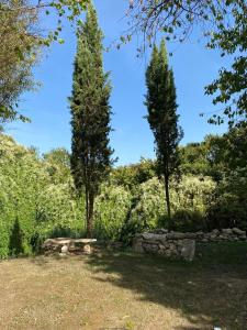 B&B / Chambres d'hotes Clos Labellie - Gite et Chambre d'Hotes a Saint-Emilion : photos des chambres