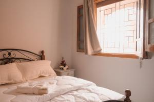 Santacruz Surf Camp Morocco