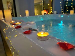 Le GREENSPA - DIJON - SPA-jardin-parking privé