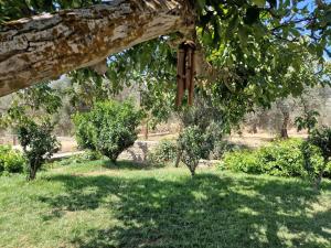PYRGOS - Traditional house at Kaloxilos, Naxos