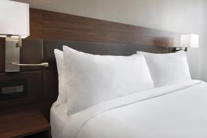 One-Bedroom King Suite room in AC Hotel by Marriott Charlotte Ballantyne