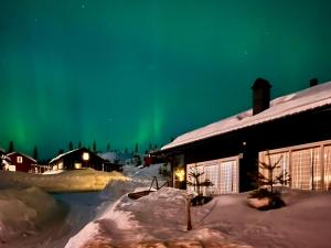 Family friendly cabin Hemsedal GolfAlpin golf, ski-out, fireplace & wifi