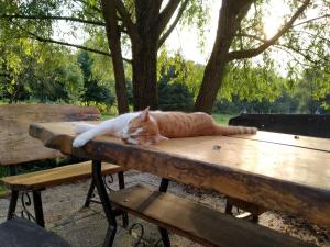 Apartamenty na wsi Horses&Relax