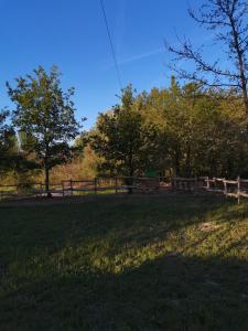 Campings Bungalow au pied du Luberon : photos des chambres