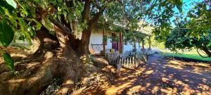 Wildedruifhuisie - Klipfontein Wildedruifhuisie - Klipfontein