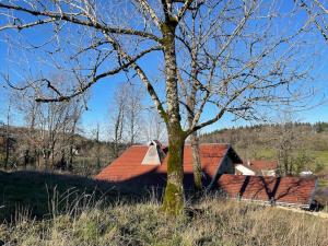 Maisons de vacances -Les Randonneurs- : photos des chambres