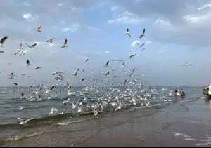 Muscat Homestay & Hospitality - ‘Udhaybah