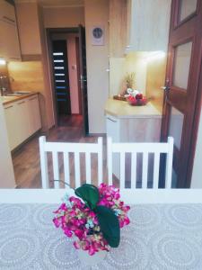 Apartament 24