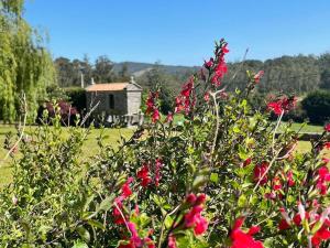 Lugar do Curro, San Martiño de Ozón