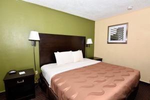 King Room - Smoking  room in Rodeway Inn Harbison Area
