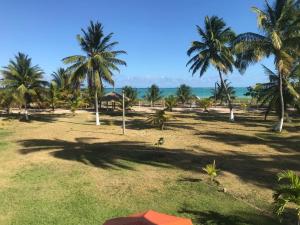 Um lugar no Paraíso ! - 4hvězdičkové hotely ve městě Maragogi