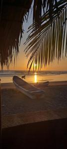 Playa San Diego Beachfront Rentals