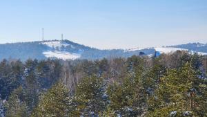 Apartman 17 Divcibare