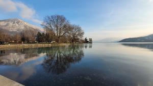 Appartements Annecy Lake Central : photos des chambres