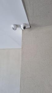 Pardelas playa y ballenas