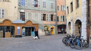 Appartements Annecy Lake Central : photos des chambres