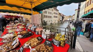 Appartements Annecy Lake Central : photos des chambres