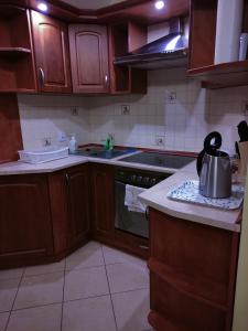 Apartament Pod Lasem